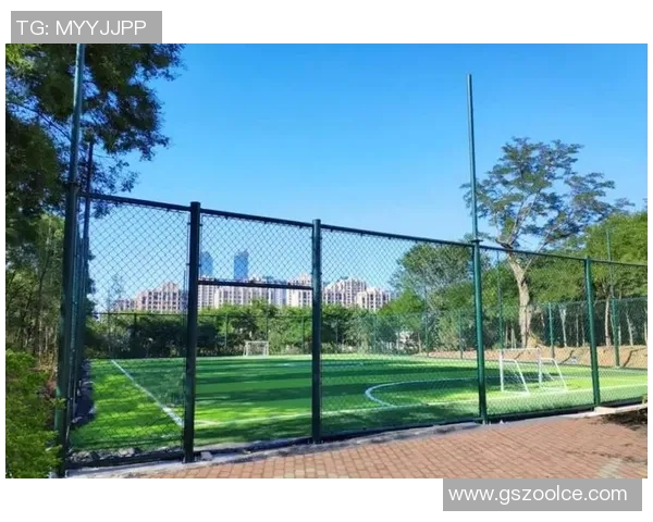 成都东方足球场周边美食与娱乐推荐一站式攻略尽享城市魅力与足球激情
